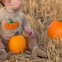 Deux publications et une soutenance de thèse à venir