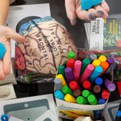 Retour en images sur la Fête de la Science 2025