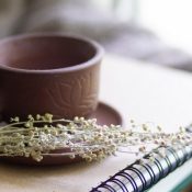 The complexity of the decision-making process from dialysis withdrawal to death