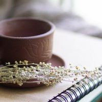 The complexity of the decision-making process from dialysis withdrawal to death