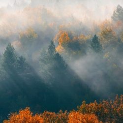 Le projet de recherche ACDC a débuté