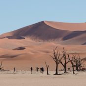 Does psychological distance to climate change affect climate action? Preregistered meta-analyses of correlational and experimental evidence (Stage 2 Registered Report)