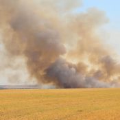 Le LPCN décrypte l'(in)action climatique dans The Conversation